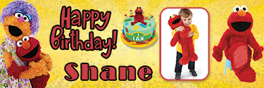 Elmo Character Theme Personalised Photo Birthday Banner