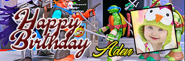 Tiger Claw & Ninja Turtles Theme Custom Photo Birthday Bannner